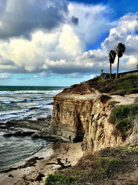 Sun-Kissed Cliffs

San Diego, California, USA
Winter 2016