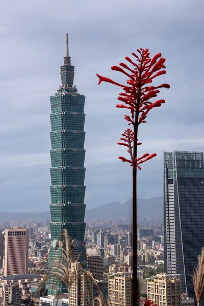 Taipei 101 Tower from the top of Elephant Mountain, focus stacked