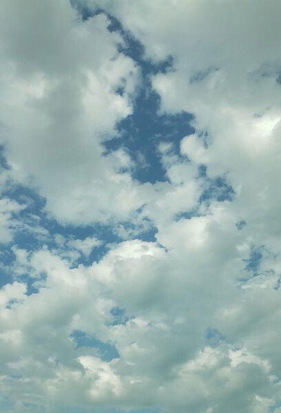A picture of the bkie sky, visible behind a wall of fluffy clouds.