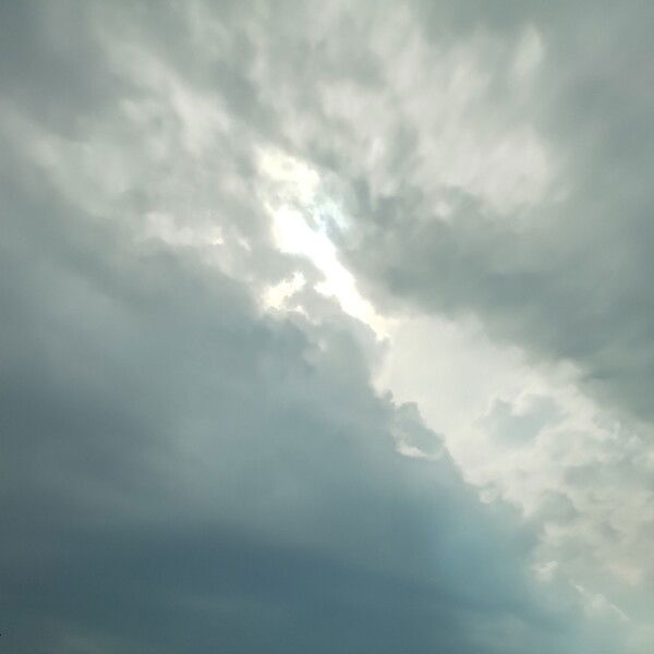Picture of a morning sky, sunlight bleeding through the clouds.