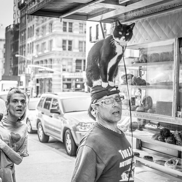 A man wearing glasses with a cat perched on his head beside a bagel cart on a city street.
