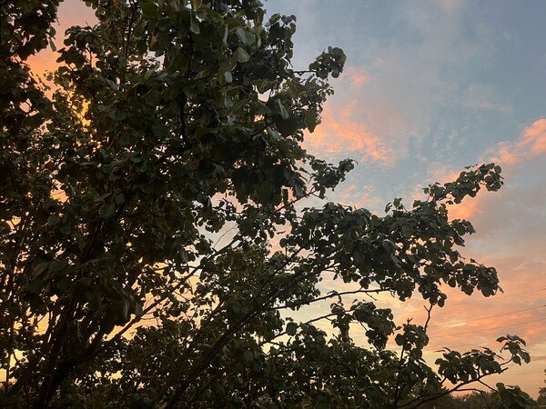 Evening sky