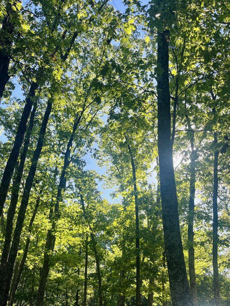 October hikes are the best hikes