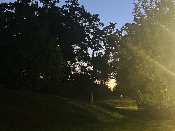 Morning walk