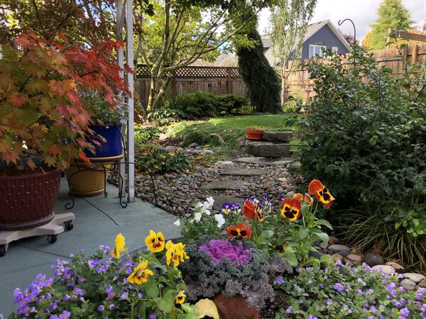 An angled view of my backyard: patio containers of pansies and violas and a Japanese maple turning red, a basalt stepping stone path and stairs, and a raised garden with grass and beds of shrubs, perennials, and trees backed by wood fences.