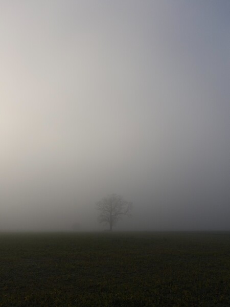 Misty commute