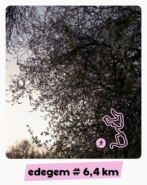 🏃🏻 Goeiemorgen deze morgen!