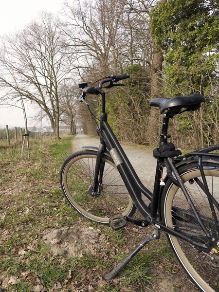 Fiets ophalen en twee minuten genieten op een bankje. 2 minuten, niet overdrijven.