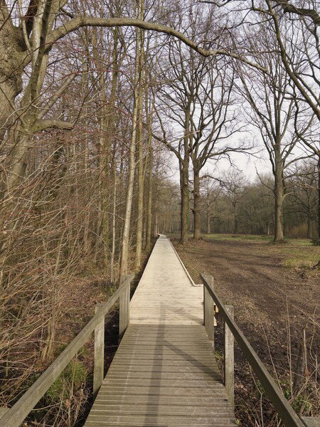 Daar moet op gelopen worden!