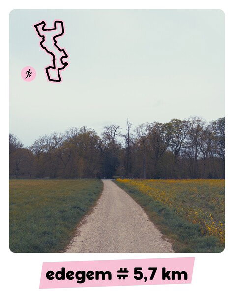 🏃🏻 Goeiemorgen deze morgen!