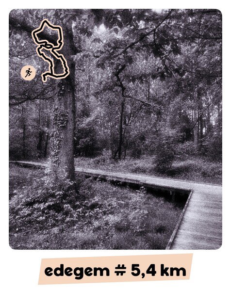 🏃🏻 Goeiemorgen deze morgen!