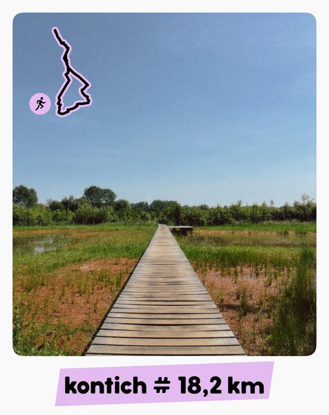 🏃🏻 Zonder water vertrokken want voor een uurtje is dat toch niet nodig. Onverwacht, het moet maar zo plezant niet zijn, dat rondje toch wat groter gemaakt. Lang verhaal kort: ik had water nodig. De laatste kilometers meer gestapt dan gelopen. 🤷🏻‍♂️