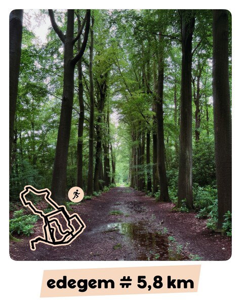 🏃🏻 Run Forrest Run! 

Happy weekend! 🎈