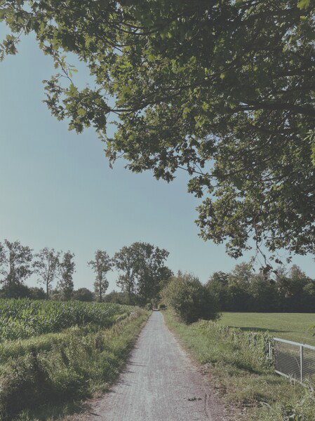 🚲 Commute