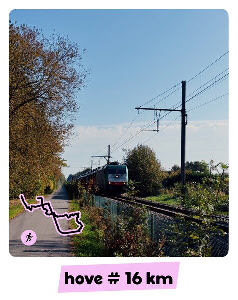 🏃🏻 Hup! Naar ‘t Uilenbos!