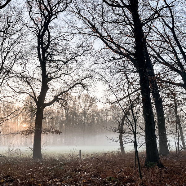 Running in the morning