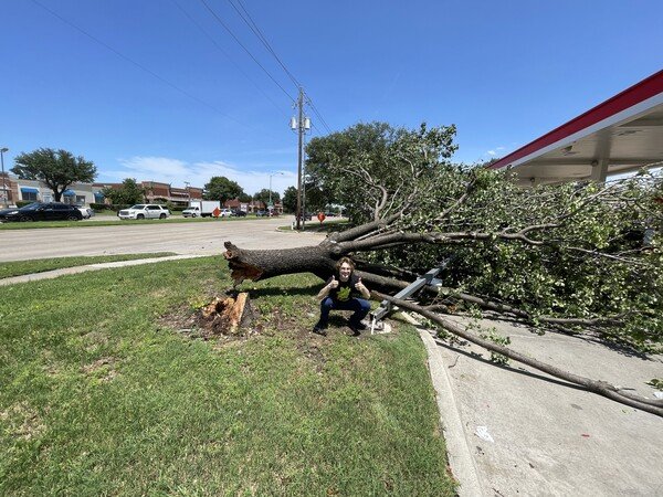 A storm knocked over a tree and a light post at this gas station.

Description: A young man crouched in front of a felled tree and broken light post, at a gas station. The man smiles and gives two thumbs-up to the camera.