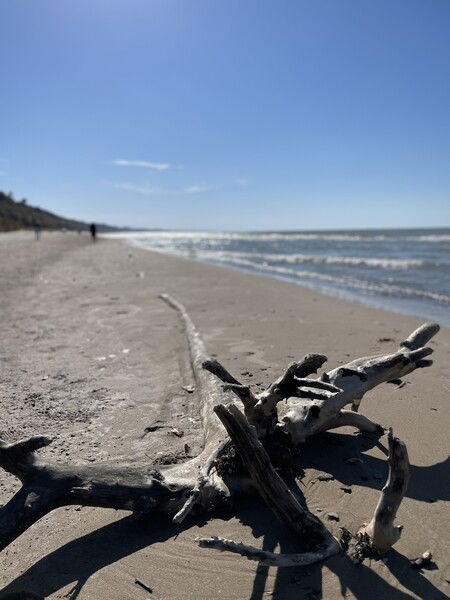 ‎⁨Weko Beach⁩, ⁨Bridgman⁩, ⁨Michigan⁩, ⁨United States⁩