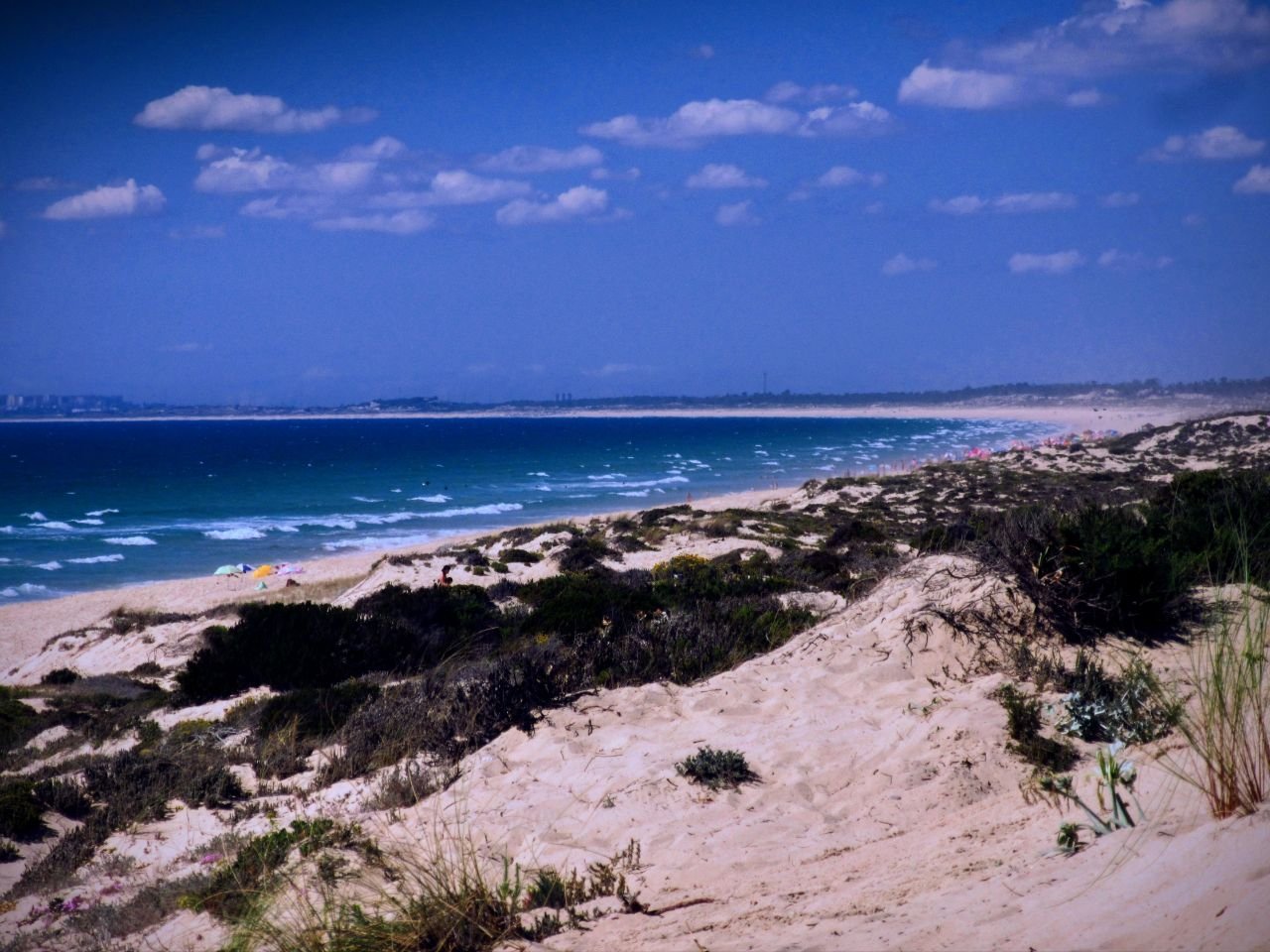 vista da praia da comporta - 2023