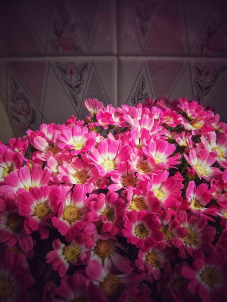240306.12 umas flores [Um dia de snapshot's com a PowerShot.](https://www.buymeacoffee.com/benjamim/240306)