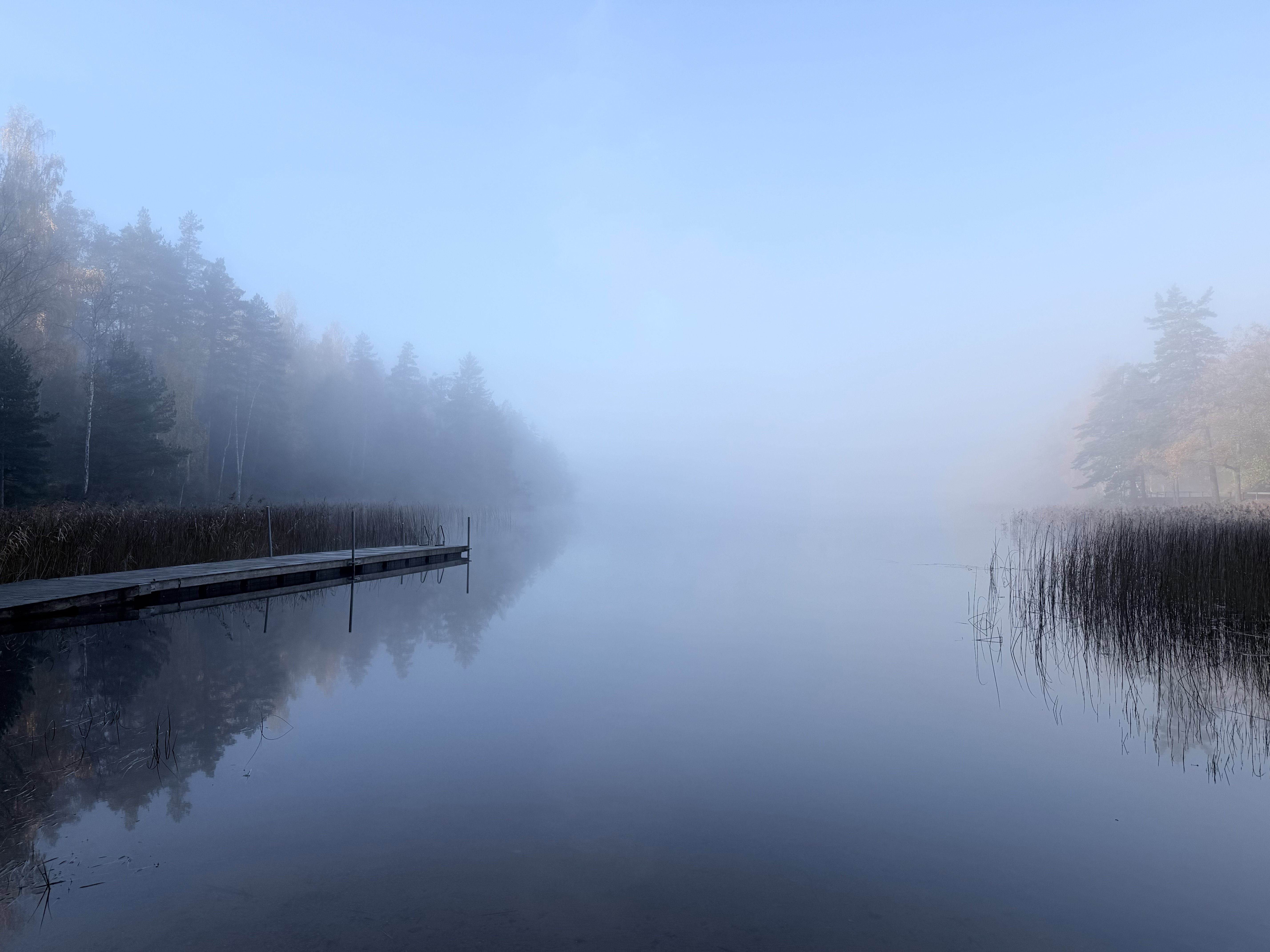 Misty autumn morning on a calm lake, with a wooden jetty reaching out from the left shore and reeds on the right, both mirrored in the still water while the far side fades into fog.