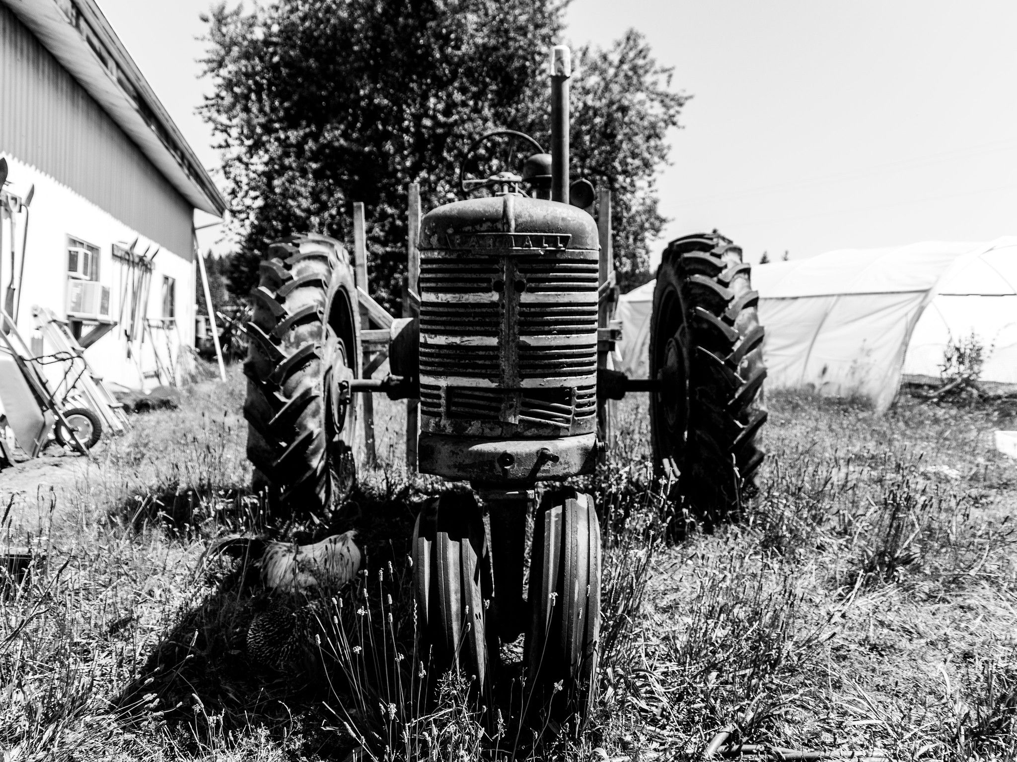 An old tractor, in black-and-white.