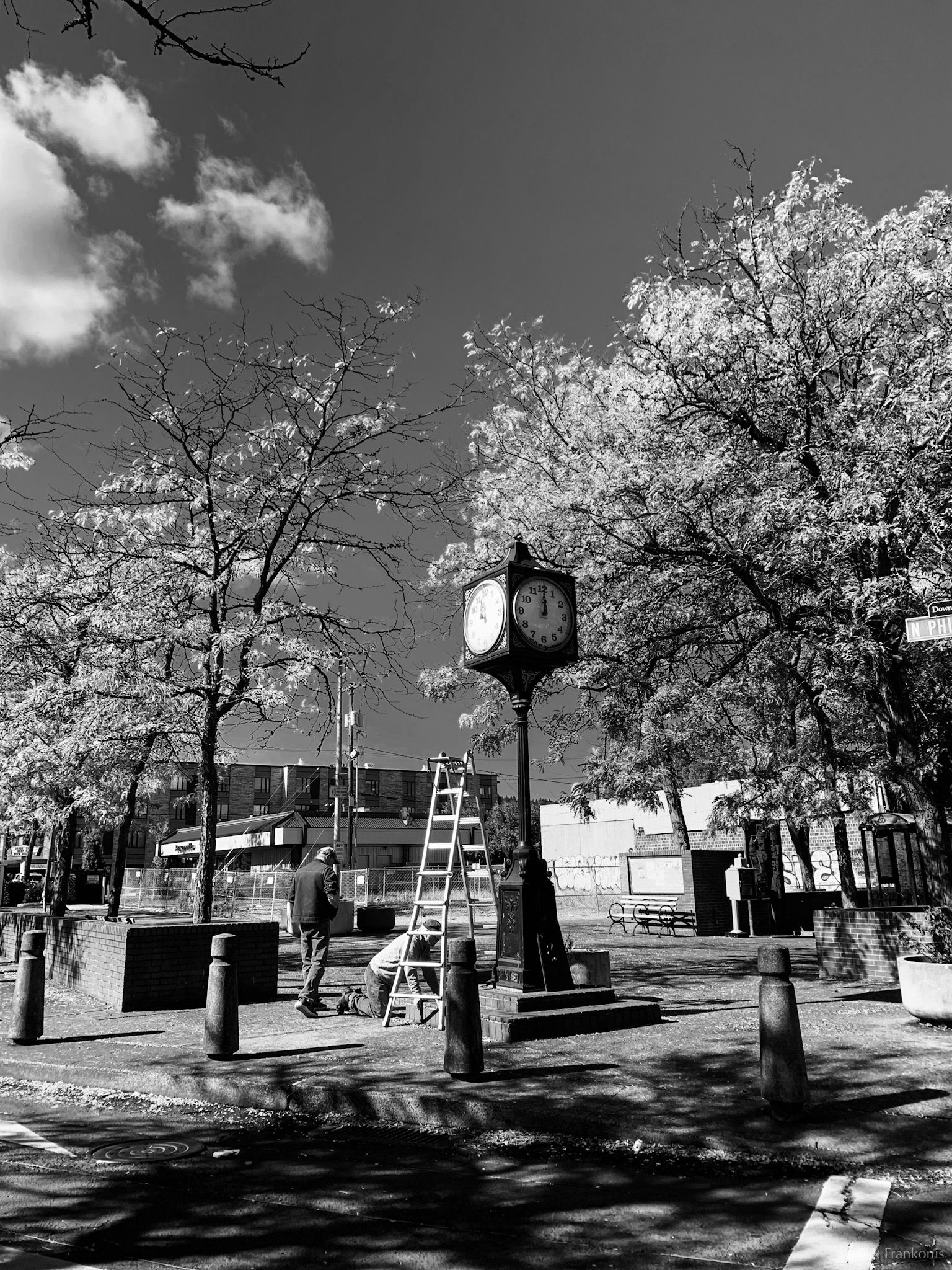 A vintage street clock with trees and sky.