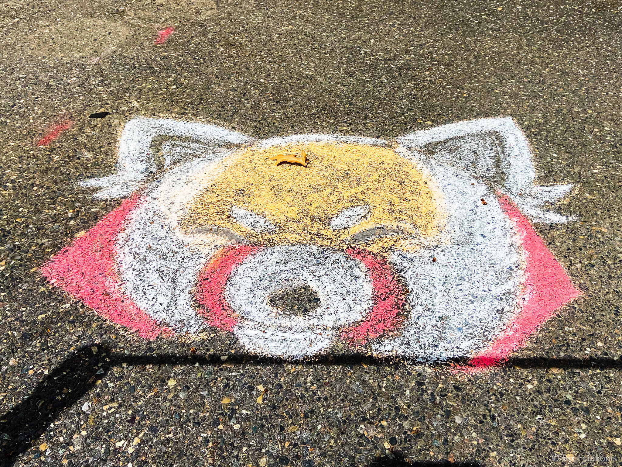 A sidewalk chalk drawing of the face of a red panda