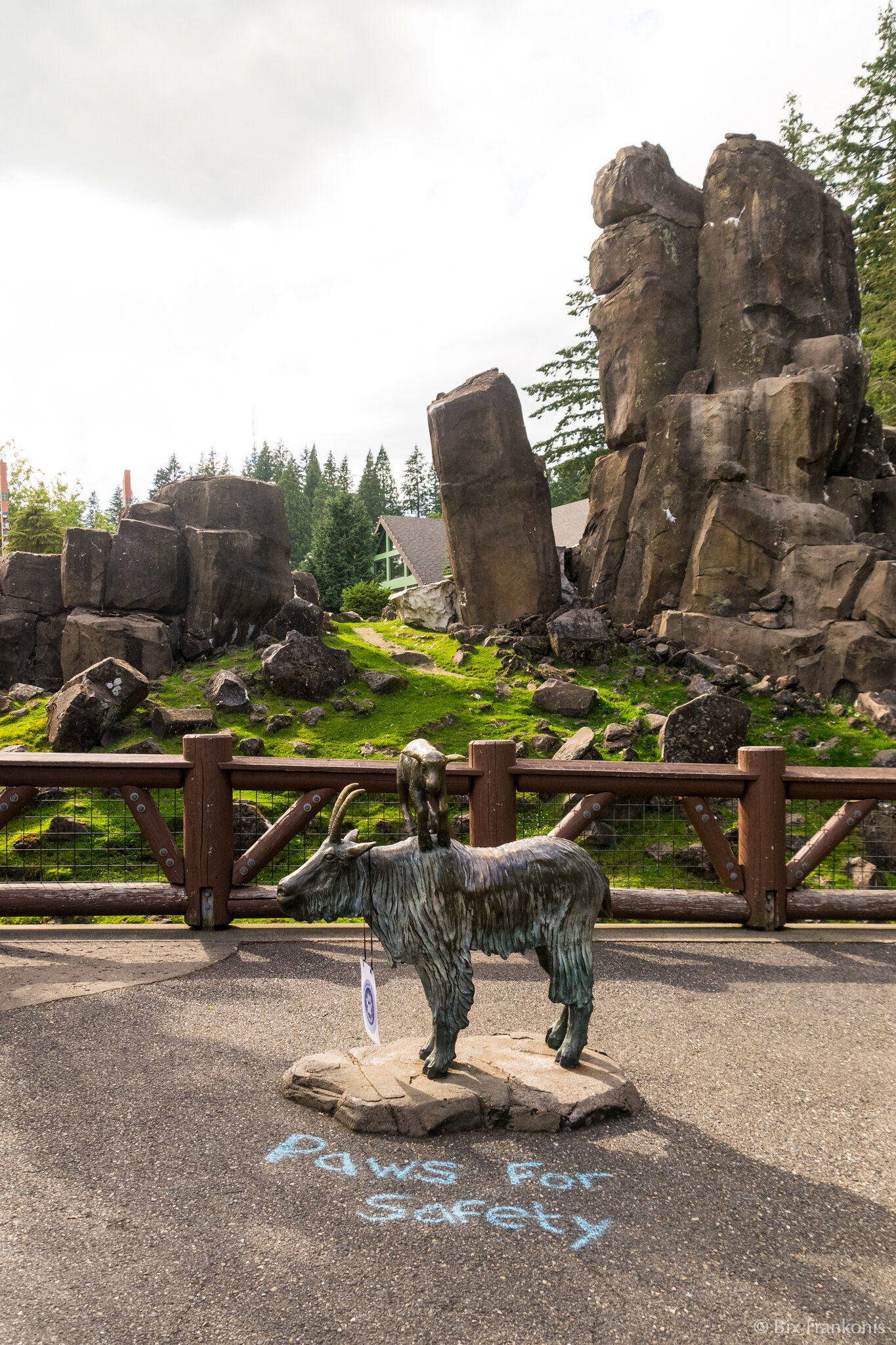 Below a bronze scuplture of a baby goat on the back of an adult goat is written in chalk “Paws For Safety”