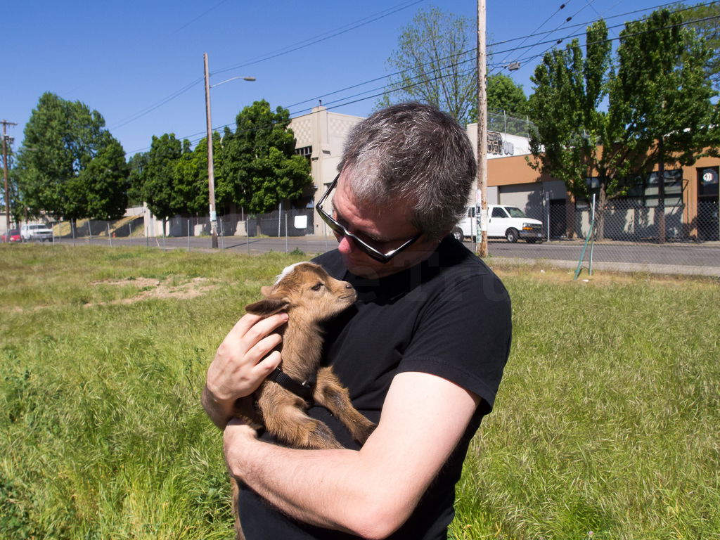 Outside in a field, a white man cradles a tiny, brown goat.