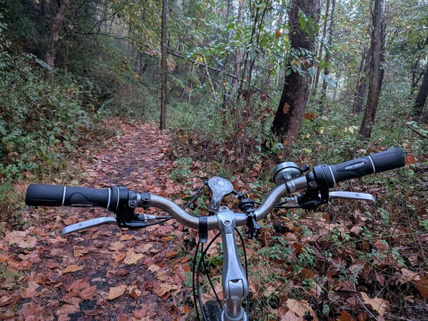 🍂 Autumn is here. 