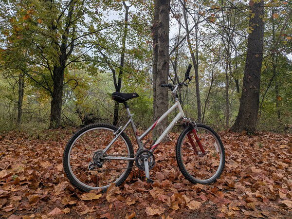 🍂 I had a very lovely autumn moment on my bike ride.