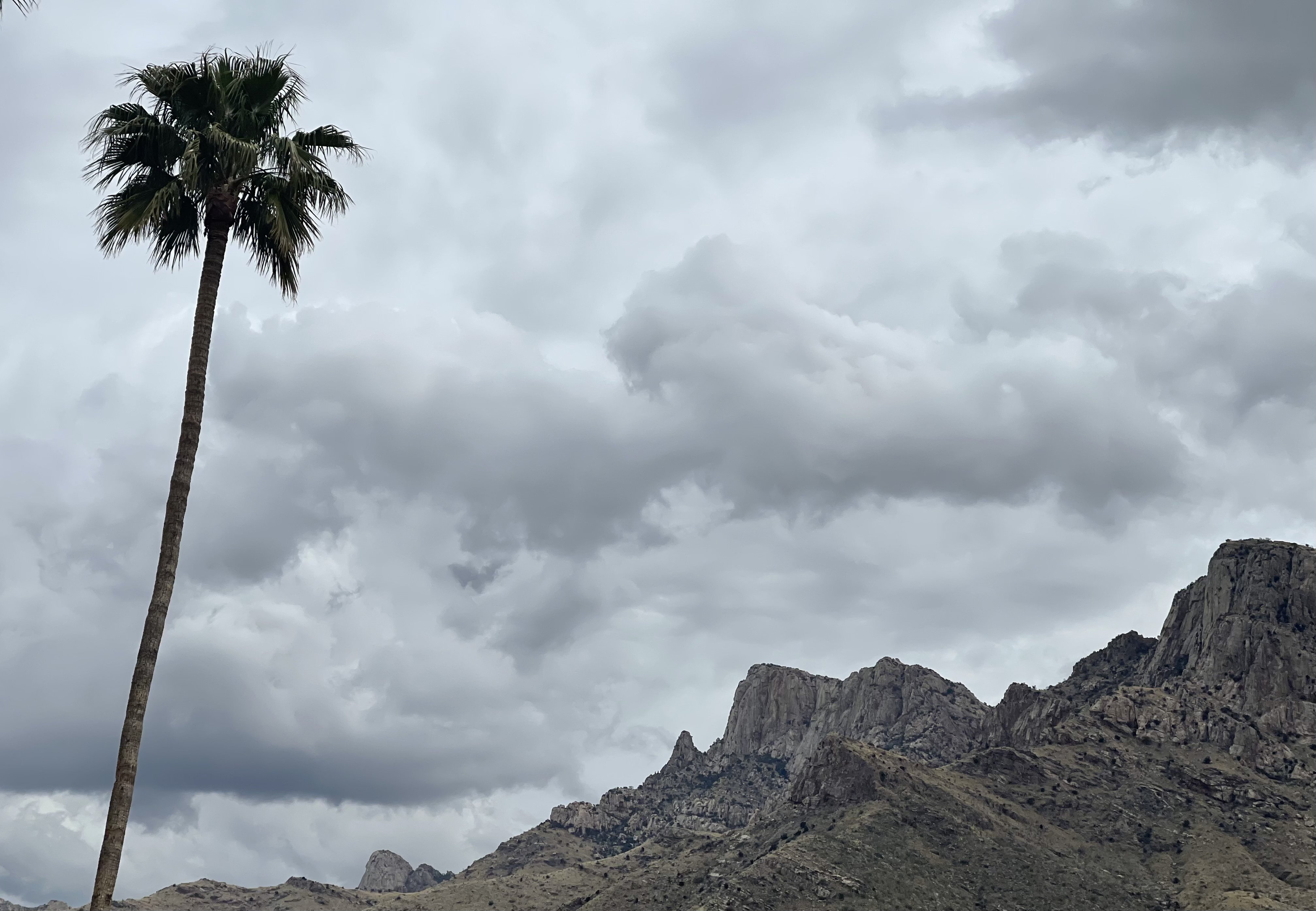 A sharp, craggy hilltop with a lone palm tree in the foreground and dark billowy clouds in the background. 