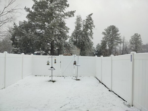 My snowy backyard with 3 birdfeeders
