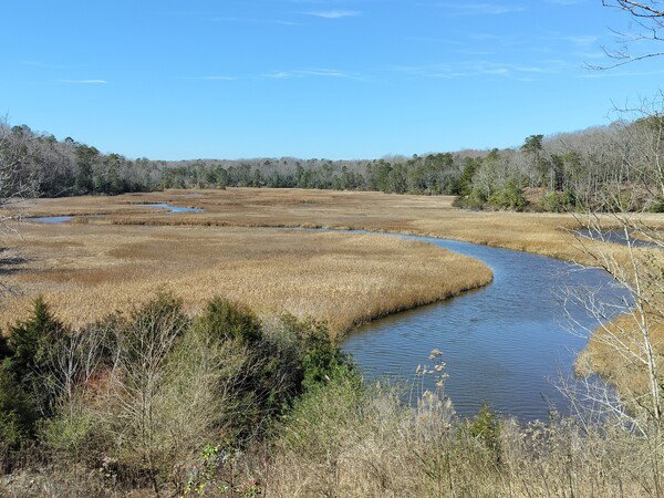 York River State Park - creek winding through a marsh.