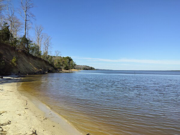 Fossil beach at York River State Park. 