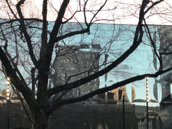 Reflection of office building framed by tree.  