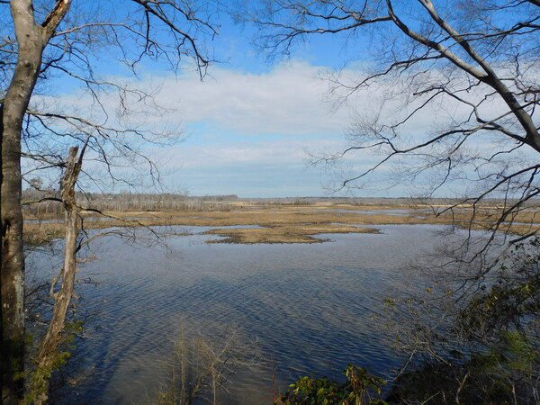 Water and grassy areas of Cumberland Marsh Nature Preserve