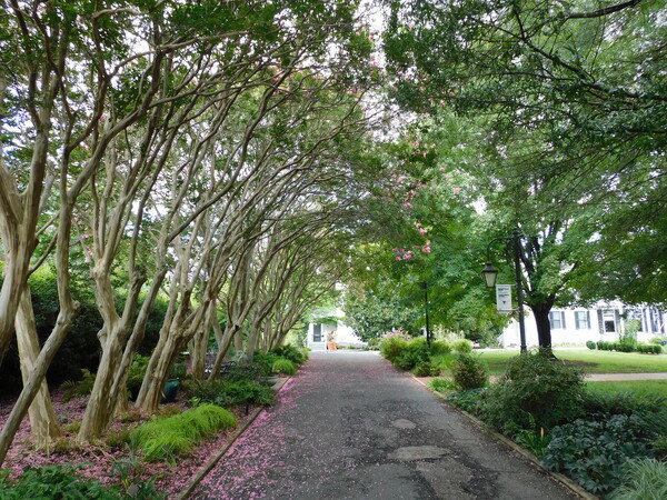 Lewis Ginter Botanical Gardens