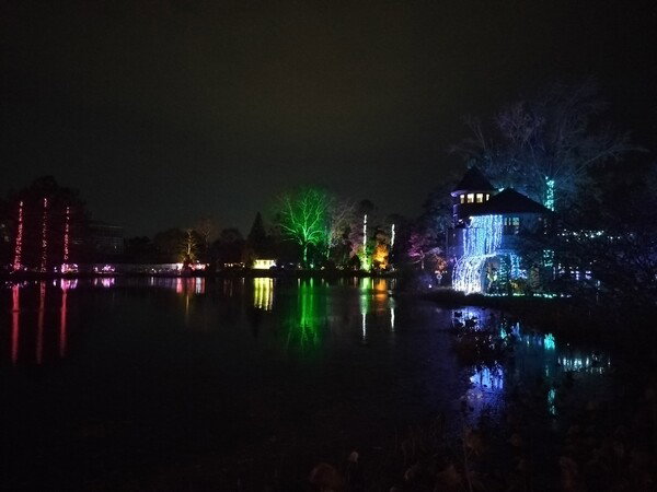 Christmas lights at Lewis Ginter Gardens