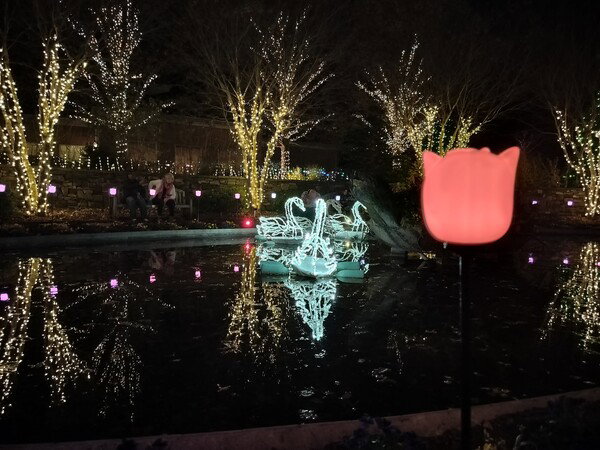 Christmas lights at Lewis Ginter Gardens