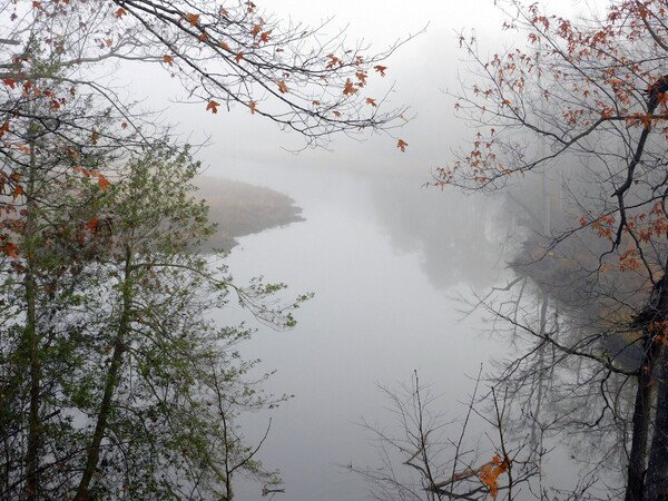 4-mile creek in the fog