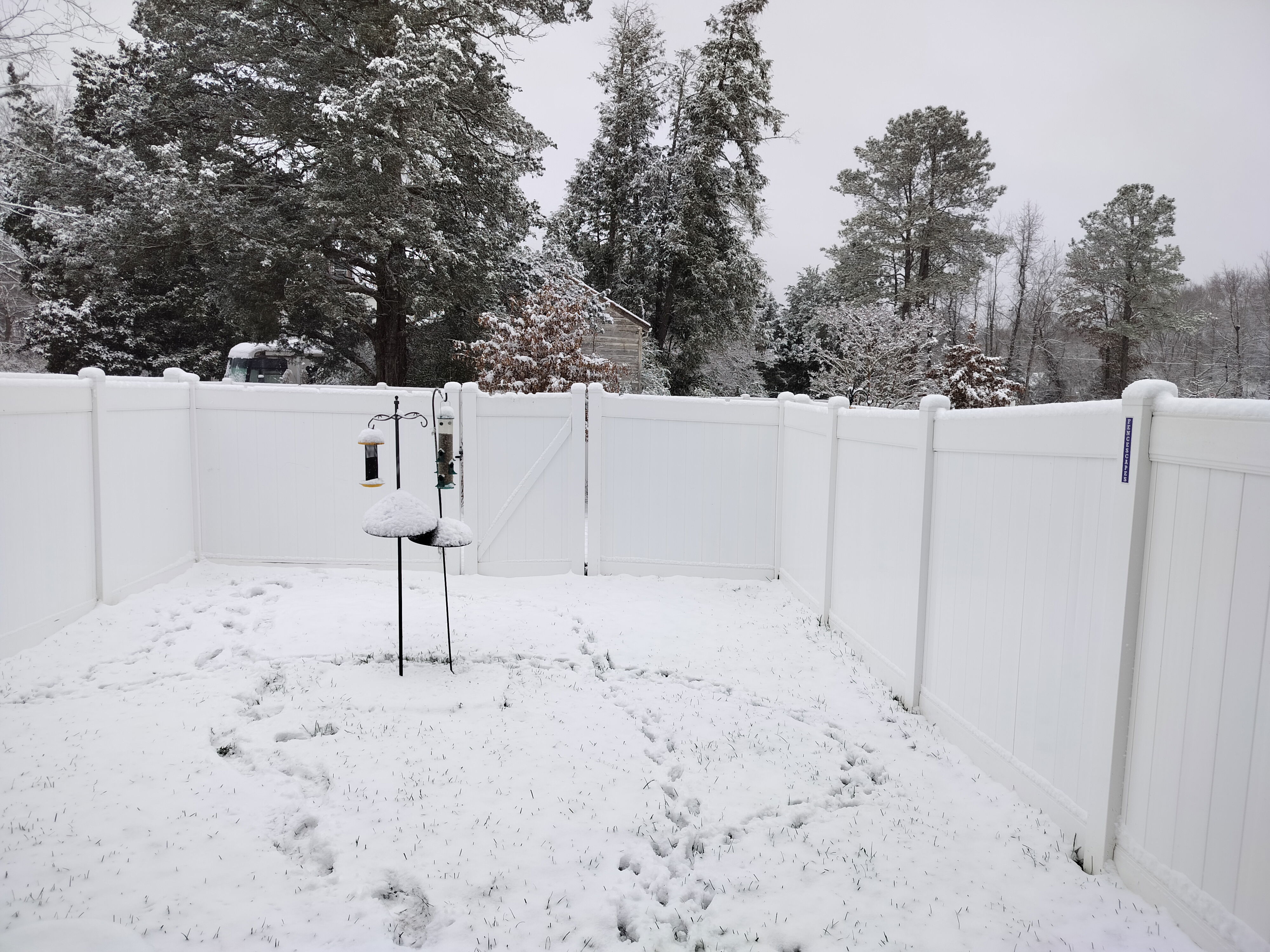 Snow in the backyard
