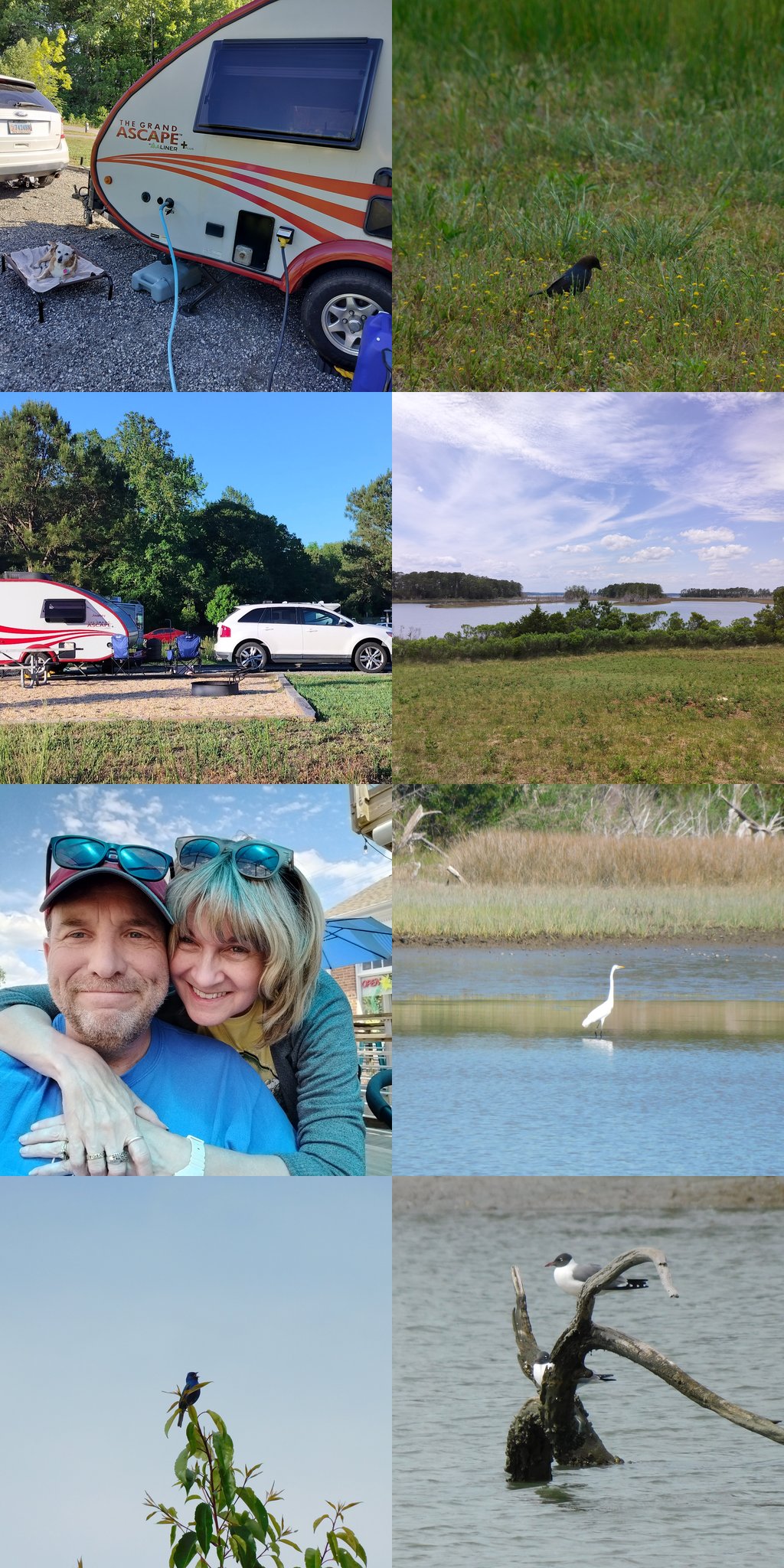 collage of photos from Machicomoco SP