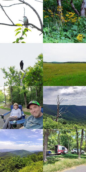 Collage of photos from a weekend camping at Loft Mountain Campground i nShenandoah National Park