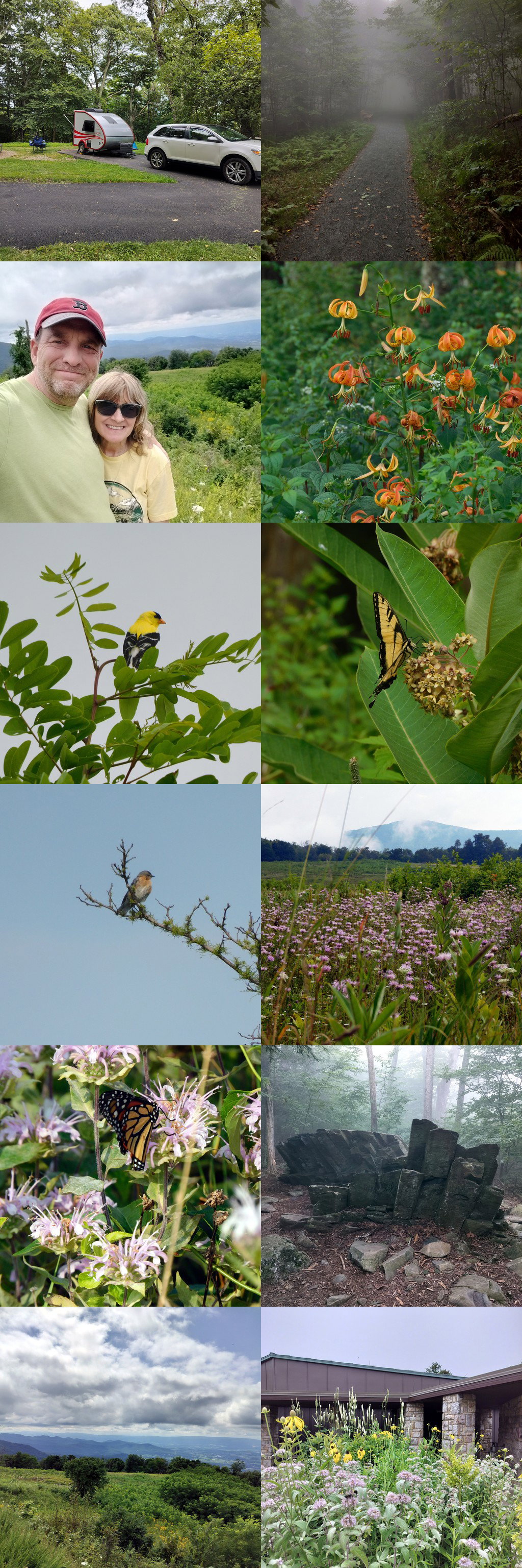 Collage of photos from the weekend camping in Shenandoah National Park