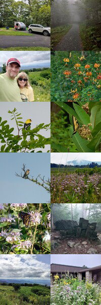 Collage of photos from the weekend camping in Shenandoah National Park