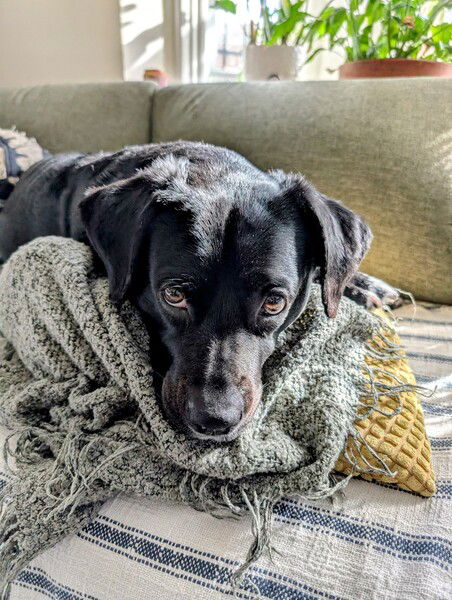 Enjoying the best pillows and throws