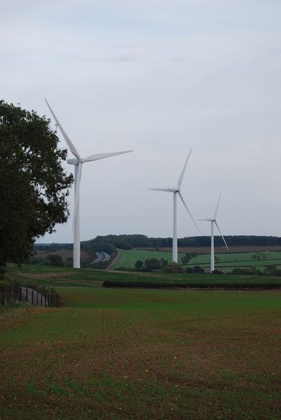 the wind turbines...