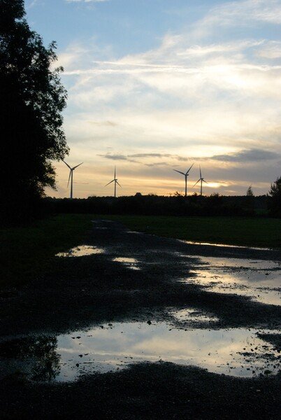 wind turbines in the beautiful autumn